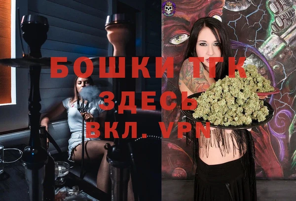 СК Ельня