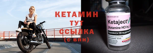 СК Ельня