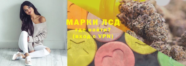 мдма Елизово