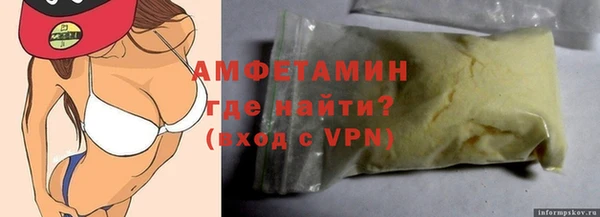 СК Ельня