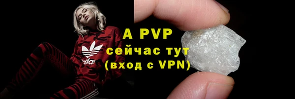 сатива Чекалин