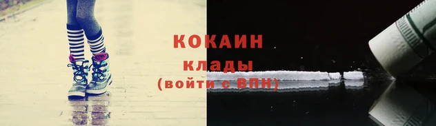 мдма Елизово