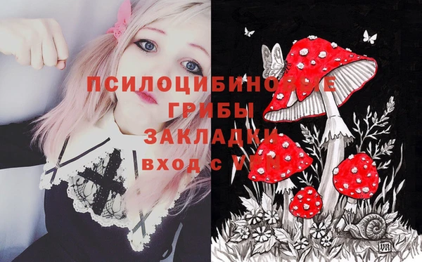 дмт Нязепетровск