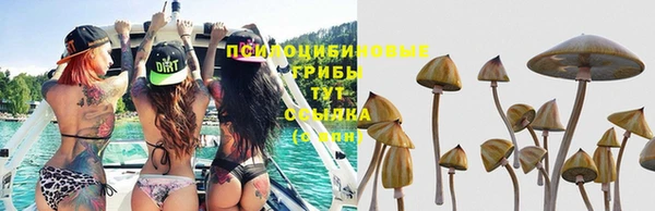 дмт Нязепетровск