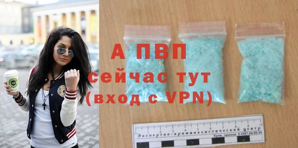 СК Ельня