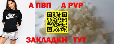 стаф Кингисепп