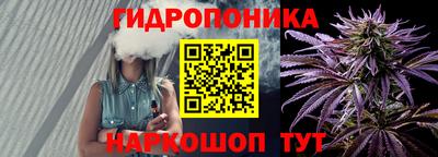 стаф Кингисепп