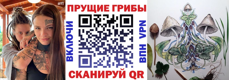 Псилоцибиновые грибы мухоморы OMG ссылки Похвистнево