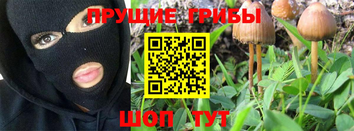 Галлюциногенные грибы прущие грибы  Вход с VPN  Похвистнево  Псилоцибиновые грибы MAGIC MUSHROOMS 