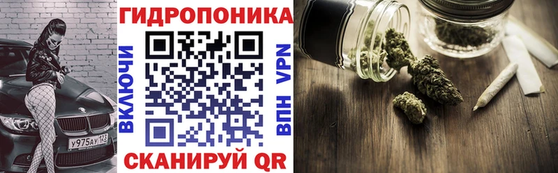 Канабис MAZAR  где найти наркотики  Похвистнево 